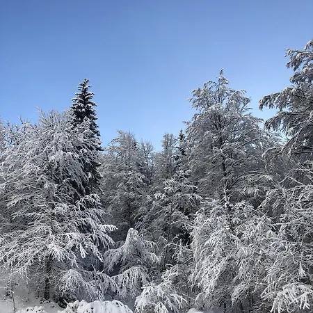 Chalé La Gliere De L'etelley Samoëns